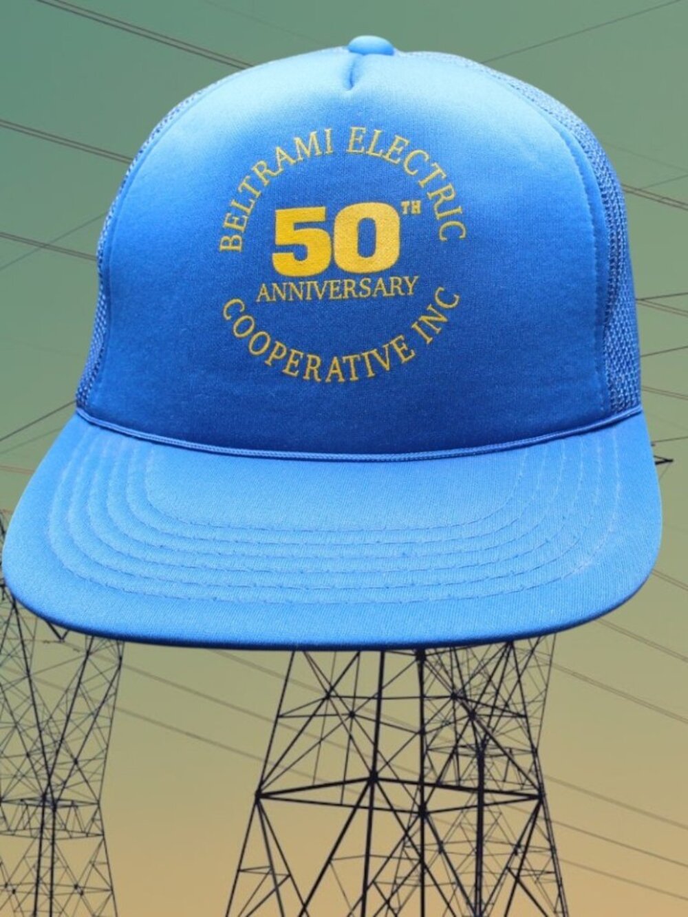Vintage Beltrami Electric Cooperative INC Minnesota Snapback Cap Hat 50th